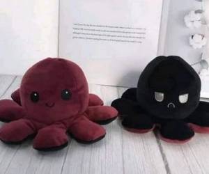 Haciendo a un lado su verdadero propósito, lo cierto es que cientos de personas mueren por uno de ellos.