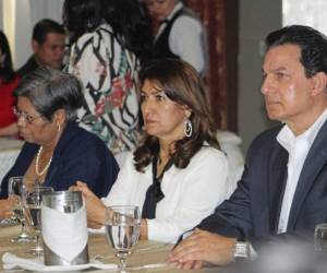 Las autoridades de Salud y representantes de diferentes sectores trabajarán conjuntamente para reducir los casos de dengue.