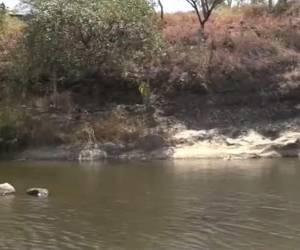 Darwin Tercero fue encontrado sin vida en un río en el sector de Amarateca, Tegucigalpa.
