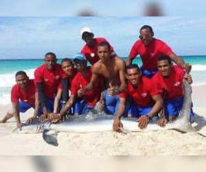 Los turistas y socorristas posan con el tiburón ya muerto.