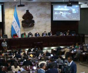 El documento donde otorga los 100 mil lempiras establece que el dinero será con “fines de utilidad pública” en sus respectivos departamentos.