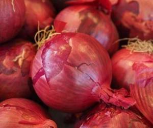 La salmonela entérica ha enfermado a 396 personas, de las cuales casi 60 han sido hospitalizadas.