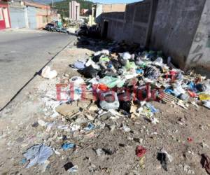 Así luce una de las áreas del barrio Perpetuo Socorro. Los olores que emanan del promontorio de basura son insoportables. Foto: Jimmy Argueta/EL HERALDO