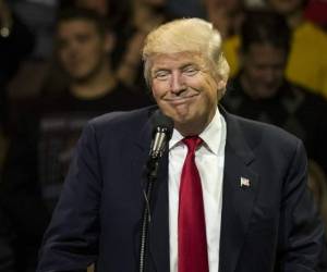 El equipo del magnate inmobiliario, que asumirá el poder el 20 de enero, presentó el jueves un recurso ante las autoridades de Michigan. Foto: AFP