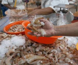El 33% del camarón exportado por Honduras es procesado.