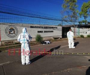 Agentes de la DPI inspeccionan la escena del dantesco hallazgo. Foto: Estalin Irías/ EL HERALDO