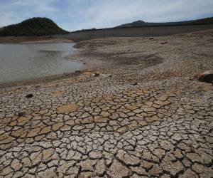 El período de canícula que es la reducción de precipitaciones durante la temporada lluviosa, suele durar de 15 a 20 días; pero este año se extenderá, debido a El Niño.