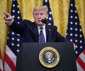 El presidente Donald Trump habla sobre la protección de los adultos mayores de Estados Unidos de la pandemia de COVID-19 en la Sala Este de la Casa Blanca. Foto: Agencia AFP.