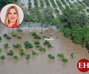 “50 millones de lempiras son insuficientes para las emergencias que hay en el valle de Sula, hay muchos daños que todavía no se han reparado y estamos en riesgo”, lamentó la parlamentaria.