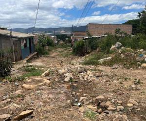 Otra residente, Flor Castro, aseguró que desde hace aproximadamente dos semanas dejaron de observar a las cuadrillas que realizaban las excavaciones para la instalación del sistema de aguas negras.