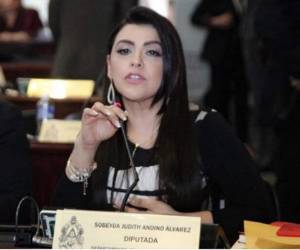 Sobeyda Andino no participó en la reunión virtual del sábado, tras el incidente.