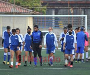 En la convocatoria hay siete jugadoras de Olimpia, cuatro de Motagua, dos de Universidad, dos de Under y una tanto de -Marathón como de Platense Júnior.