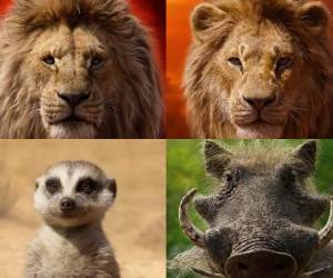 Faltan pocas semanas para el estreno de una de las películas más esperadas por los amantes de Disney. Ya se dio a conocer cómo lucen los personajes que hicieron reír y llorar a muchos de pequeños. Fotos: Cortesía Disney Brasil.