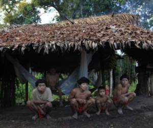 Se estima que 3,873 indígenas viven en la zona con mayor número de casos notificados. Foto: AFP