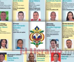 El 42 por ciento de candidatos a la Alcaldía Municipal del Distrito Central son abogados de profesión. Foto: El Heraldo/Manuel Rodríguez