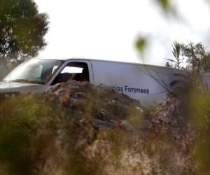 En Guerrero, que tiene costas en el Pacífico, actúan distintas bandas del crimen organizado, principalmente dedicadas al tráfico de drogas, que en los últimos años han librado numerosos enfrentamientos por el control de las rutas del narcotráfico. Foto: AFP.