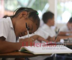 Los estudiantes deben ser reinsertados a las clases, luego de tres crisis que azotaron al país y afectaron este importante sector. Foto: Archivo/ EL HERALDO