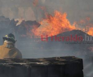 Se registró el primer incendio forestal en Honduras, según autoridades del ICF.