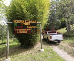 La Reserva Biológica de Uyuca es un paraíso escondido para preservar. Fotos Marvin Salgado / EL HERALDO