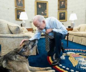 La Casa Blanca anunció este sábado la muerte de Champ (Campeón), uno de los dos perros del presidente de Estados Unidos, Joe Biden, y la primera dama del país, Jill.