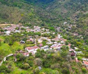 El festival también contará con tiendas que ofrecerán productos y opciones de regalos, con la participación de comerciantes de la comunidad.
