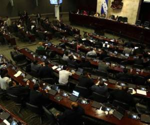 Posiciones encontradas ha ocasionado este tema en el Congreso Nacional.