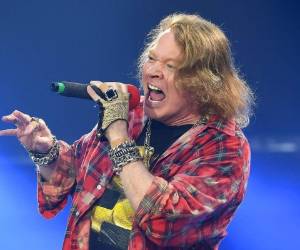 El documento muestra que Rose empleó una compañía británica, Web Sheriff, para formular sus pedidos. Foto: AP