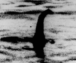 No está claro si eso indica que hay una anguila gigante o sólo varias pequeñas, dijo el cientifico sobre el mostruo del lago Ness. Foto: AP