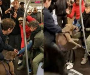 El animal atacó a la pasajera del metro de Nueva York después de que ésta le pidiera al dueño que lo bajara. Foto captura YouTube