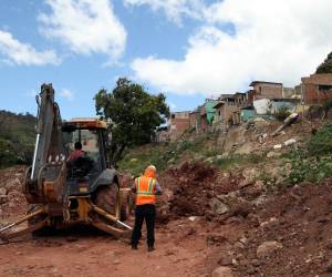 Según las autoridades, el proyecto estaría previsto para ser desarrollado en nueve meses.