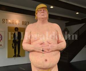 Se cree que la pieza subastada es la única que no fue confiscada o destruida, pues estas estatuas fueron creadas en 2016 para la campaña política. Foto AFP