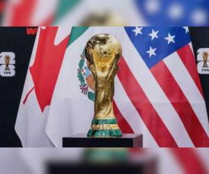Este será el campeonato más largo de la historia, pues tendrá una duración total de 39 días. Conozca los datos más inéditos de esta edición mundialista.