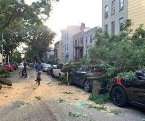 Algunas calles quedaron bloqueadas por las caídas de árboles en Greenpoint, en el área de Brooklyn, New York. Foto: AFP