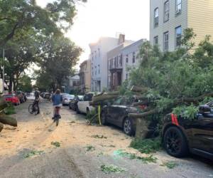 Algunas calles quedaron bloqueadas por las caídas de árboles en Greenpoint, en el área de Brooklyn, New York. Foto: AFP