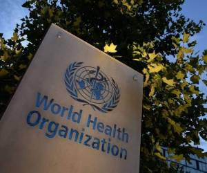 La aparición en 2020 de variantes que presentaban un riesgo agravado para la salud pública mundial llevó a la OMS a caracterizarlas como 'de interés' o como 'preocupantes', a fin de jerarquizar las actividades de vigilancia e investigación a nivel mundial. Foto: AFP