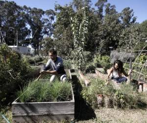 Eugenia Podlesny y Juan Garcia trabajan en la Huerta que se encuentra en el hospital de Necochea. 6 de Abril de 2019.Foto: Mauro V. Rizzi