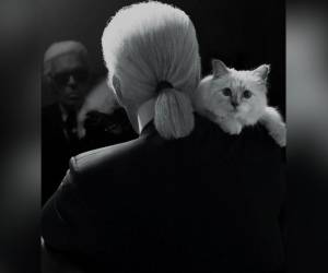 Solo tengo un gran amor: mi gata, Choupette, decía el diseñador Karl Lagerfeld, sobre su gata de raza birmana que fue su gran compañera.