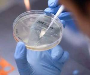 Hasta este lunes, Chile contabilizaba un total de 20,647 casos de covid-19 activos. FOTO: AFP