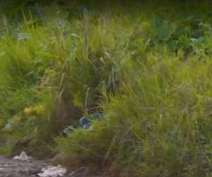 El hombre fue encontrado dentro de unas bolsas que cubrían el cadáver.