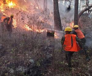 Efectivos militares combaten uno de los incendios ocurridos en las montañas cercanas a la capital de la República.