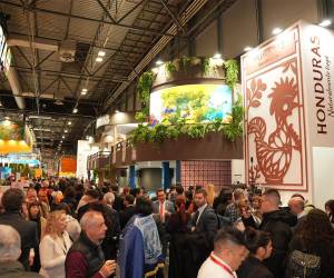 Fitur reúne cerca de 10,000 empresas de 161 países, 967 expositores y más de 155,000 profesionales del turismo a nivel mundial.