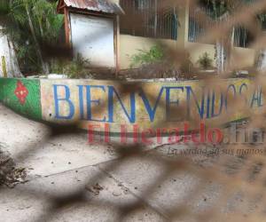 El sistema educativo se encuentra paralizado a nivel nacional. Foto: EL HERALDO.