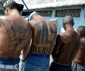 Datos oficiales indican que unos 30,000 miembros de la MS-13 viven en Centroamérica. Foto: EL HERALDO