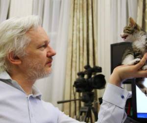 El reducido espacio de la embajada de Ecuador en Londres fue la causa de la separación de Julian Assange con el felino. FOTO: Cortesía El Periódico.
