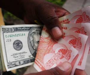 La moneda hondureña se depreciaría en un máximo de 23 centavos por dólar y al cierre de diciembre se cotizará a 23.73 lempiras, según el Banco Central de Honduras.