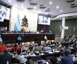 El Congreso desestimó la petición promovida por grupos campesinos al no cumplir con el número mínimo de respaldos válidos exigidos.