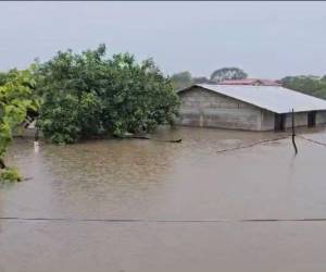 En plena emergencia por lluvias, donde las familias están perdiendo todo, denuncian que Libre politiza entrega de ayudas.