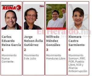 Carlos Eduardo Reina, Nelson Ávila, Wilfredo Méndez y Xiomara Castro.