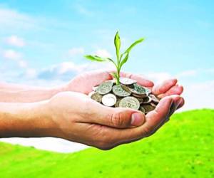 Los emprendimientos son cada vez más frecuentes en el país debido a la falta de oportunidades laborales, por lo que la definición de la idea de negocio es esencial para que pueda generar rentabilidad.