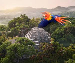 El turismo no logra cumplir sus metas en el feriado de octubre, debido a los fenómenos naturales que se presentan en Honduras.